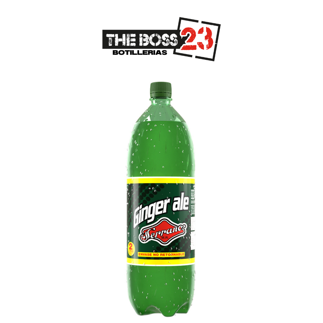 Bebida Serrano ginger ale 2L